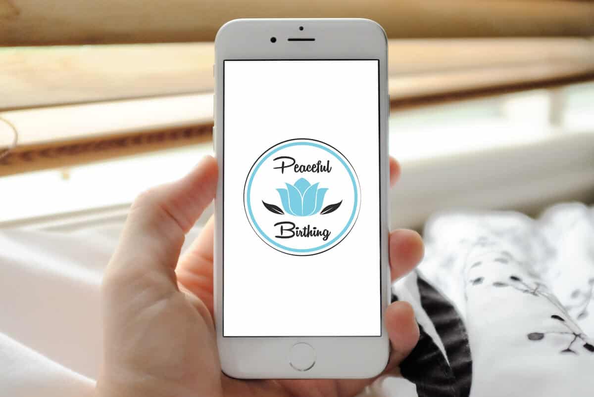 Brand Identity 4
